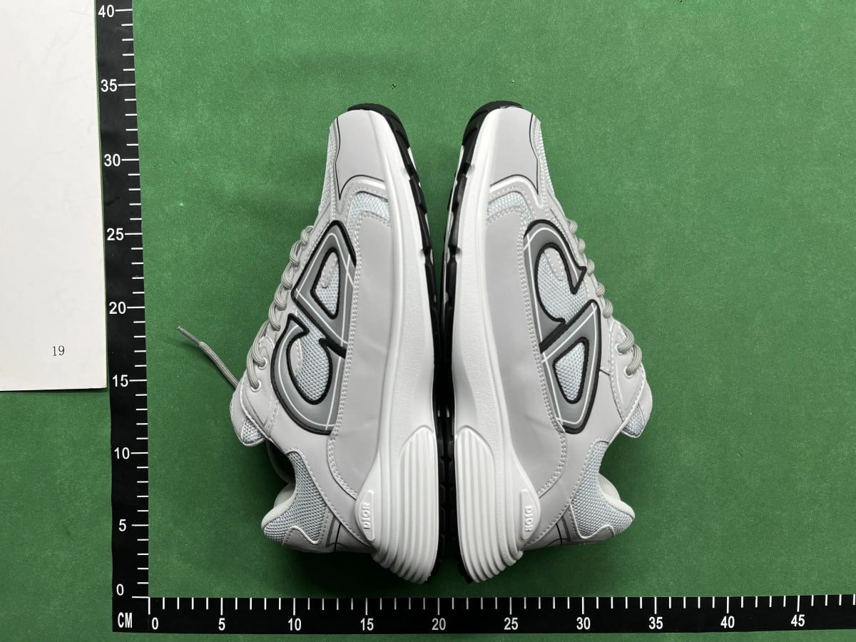 Dior B30 sneakers (20+)
