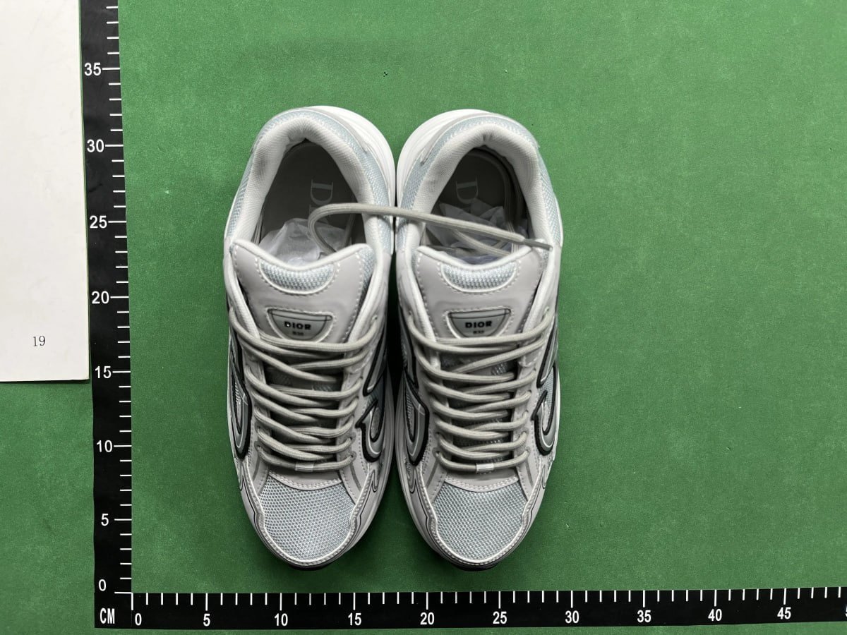 Dior B30 sneakers (20+)