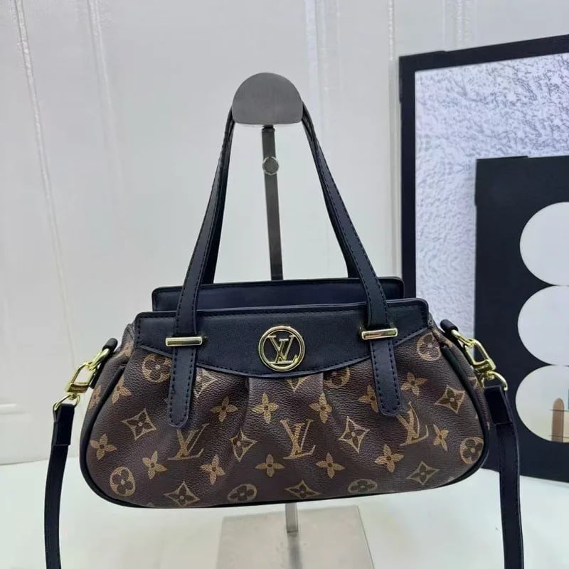 Louis Vuitton Bag Collection （30+）