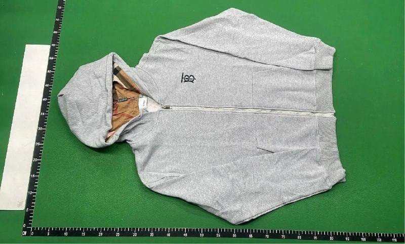 Burberry hoodie (40 CP) 