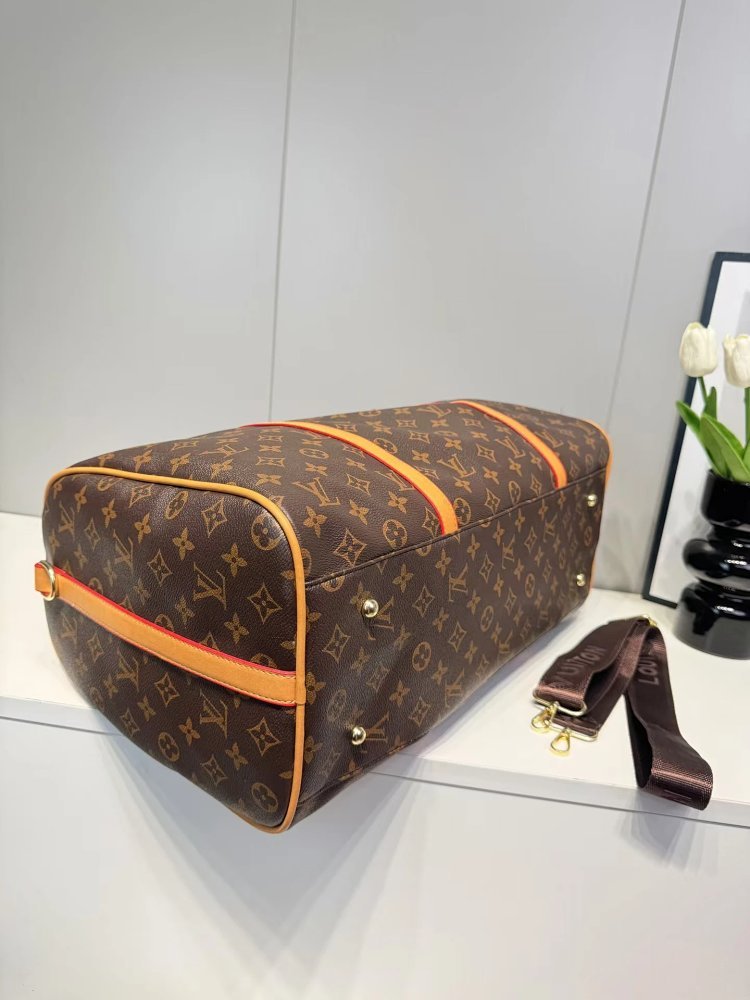LV bucket bag