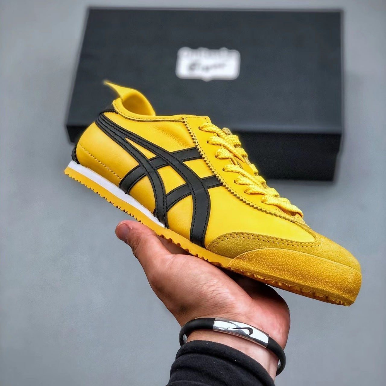 ACICS 66
